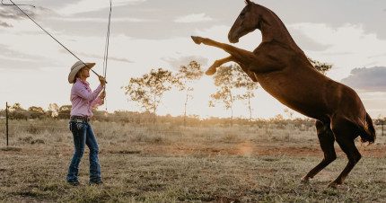 Event Card poster for Authentic Outback Show and Live Music | Katherine