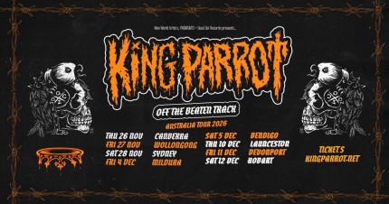 Card image for article, King Parrot – Off the Beaten Track Tour | Hobart